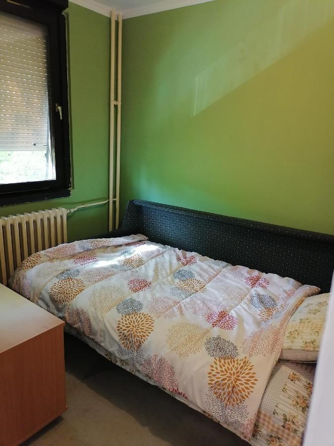 Ferienwohnung Kingston Pirot Exterior foto
